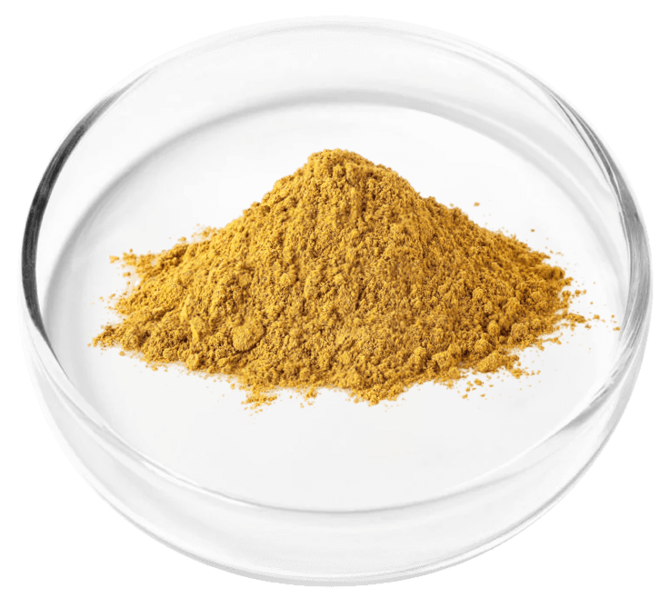 Granular berberine